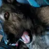 makadendunn - @makadendunn - TikTok