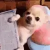 Kaden Gardner - @kaden.gardner16 - TikTok