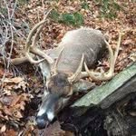 KadenGoodwin - @bighornoutdoors_17 - Instagram