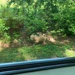Kaden Griffith - @kbgriffith09 - Instagram