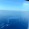kaden griffith - @kaden.griffith30 - TikTok