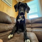 Kadenhooper - @kaden_hooper46 - Instagram