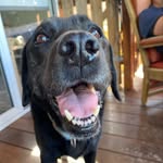 Kaden - @kaden_marshall1 - Instagram