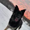 Kaden - @kadenmorris12 - TikTok