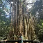 Kaeden Orr - Facebook