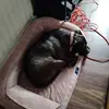 Kaden Perkins - @kaden.perkins2 - TikTok