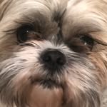 Kaden Pham - @kadenpham2 - Instagram