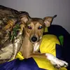 Kaden Powers - @kaden.powers - TikTok