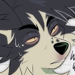 Kaden - @princelykaden - Instagram
