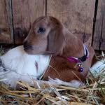 Kaden Schaefer - @kadenschaefer2022 - Instagram