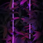 Kaden Scott - @kaden.scott.750 - Instagram