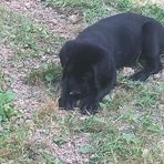 Kaden Simpson - Facebook