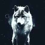 gabriel kaden solis - @gabrielkaden - Instagram