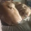Kaden - @kaden.stuart - TikTok