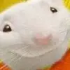 Kaden - @kadenstuartlil - TikTok