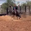 Kayden Stuart - @kaydenstua69 - TikTok