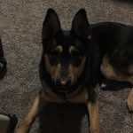 Kaden Sullivan - @arbiter_the_judge - Instagram