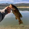 Tyler and Kaden Fishin - @tyler.and.kaden.f - TikTok