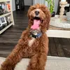 Tyler_and_kaden_homies - @tyler_and_kaden_homies - TikTok