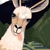 kadenwalters917 - @kadenwalters917 - TikTok