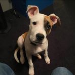 Kaden Ward - Facebook
