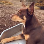 Kaden Ware - @kadenware - Instagram