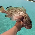 Kadenwebster - @kaden200416 - Instagram