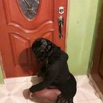 Kadian Henry - @kadian895 - Instagram