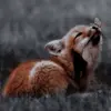 königlover - @kaydiebowman - TikTok