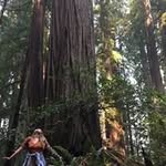 Kadie Lee Bourgouin - @kadiebourgouin - Instagram