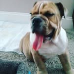 KadyWilliams - @kadywilliams7429 - Instagram