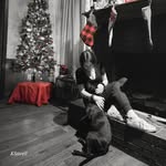 Kaelyn Jones - @quiet_chaos07 - Instagram