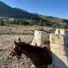 kaicarlson68958 - @kaicarlson68958 - TikTok