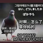 Kai Cui - @kai.cui.771 - Instagram