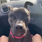 Kai Evans - @kaievvans - Instagram