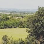 Kaievans - @kaievans1234 - Instagram