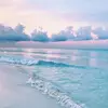 Kay Falkenberg - @.kay._.not._.found - TikTok