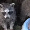 Kai._.freeman - @justkai.jk - TikTok