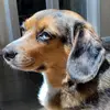 Kai Freeman - @theamazingkai - TikTok