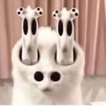 @kai_harel1 - Instagram