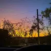 Kai🦇 - @kai_harrison - TikTok