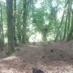 Kai James - @21kaijames6996 - Instagram