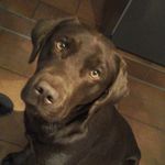 Kai Kramer - @kramerkai73 - Instagram