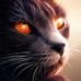 Kai Luo - Facebook