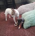 Kai Lynn Leclerc - Facebook