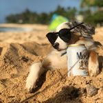 Kula Kai McCarthy - @kula_vibes - Instagram