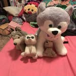 Kai McNeil - @junioris_mystuffedanimal - Instagram