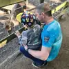 Kai Meyer - @kai.meyer28 - TikTok
