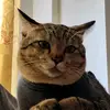 kaipower - @kaipowershop - TikTok
