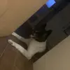 kaisanderson - @kaisanderson3 - TikTok